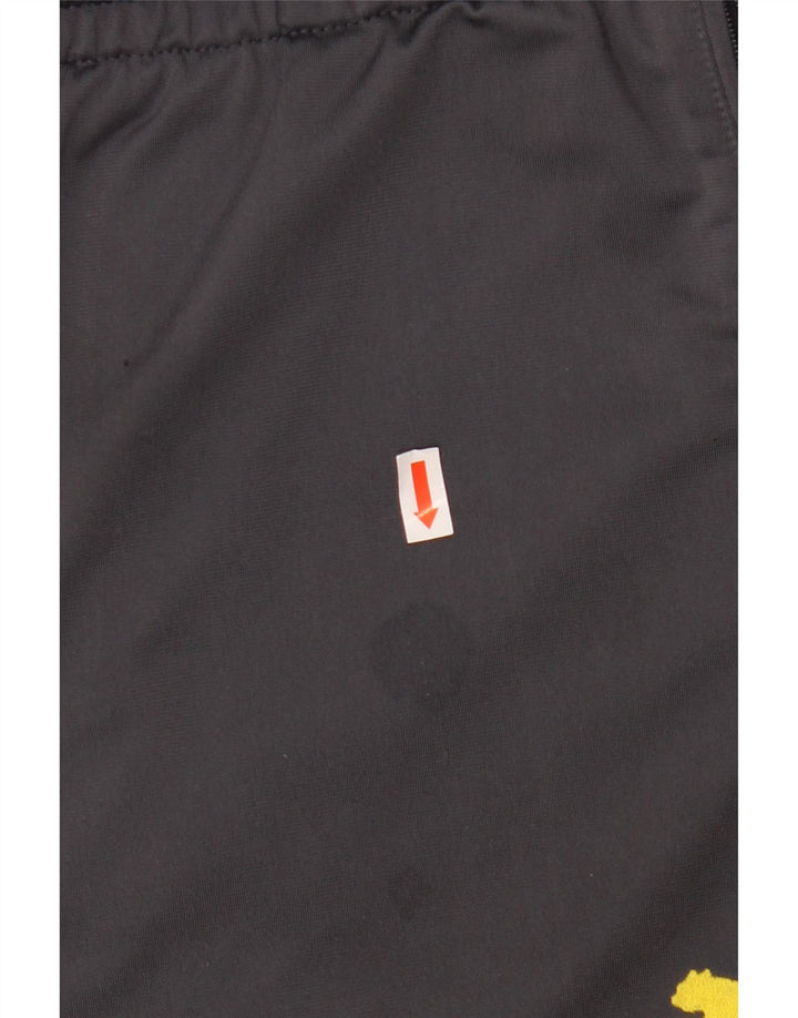 Męskie spodnie dresowe PUMA BVB Dortmund XL, szare, z blokami kolorów