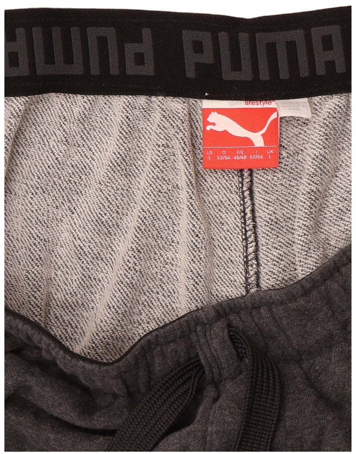 Męskie spodenki sportowe PUMA, duże, szare