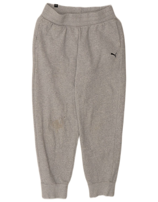 Damskie spodnie dresowe Puma Joggers UK 10 Small, szara bawełna