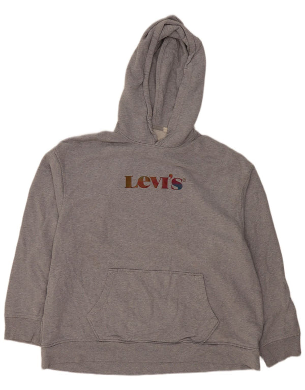 Męski sweter z kapturem i grafiką Levi's XL, szary, bawełniany