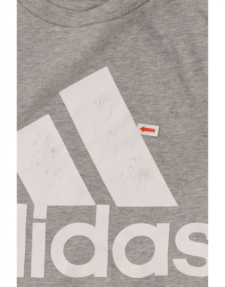 Męska koszulka z grafiką Adidas, duża, szara, bawełniana