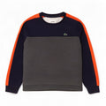 Męska bluza Lacoste, rozmiar 8, 3XL, szara bawełna z blokami kolorów