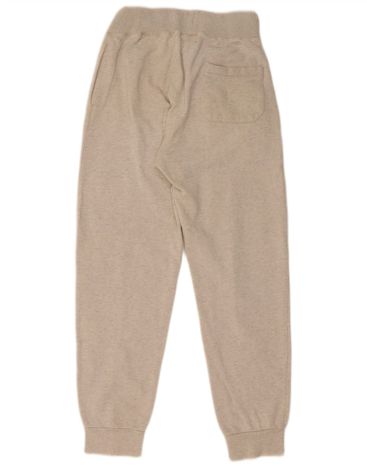 Męskie spodnie dresowe Fila Joggers Small, szare, bawełniane