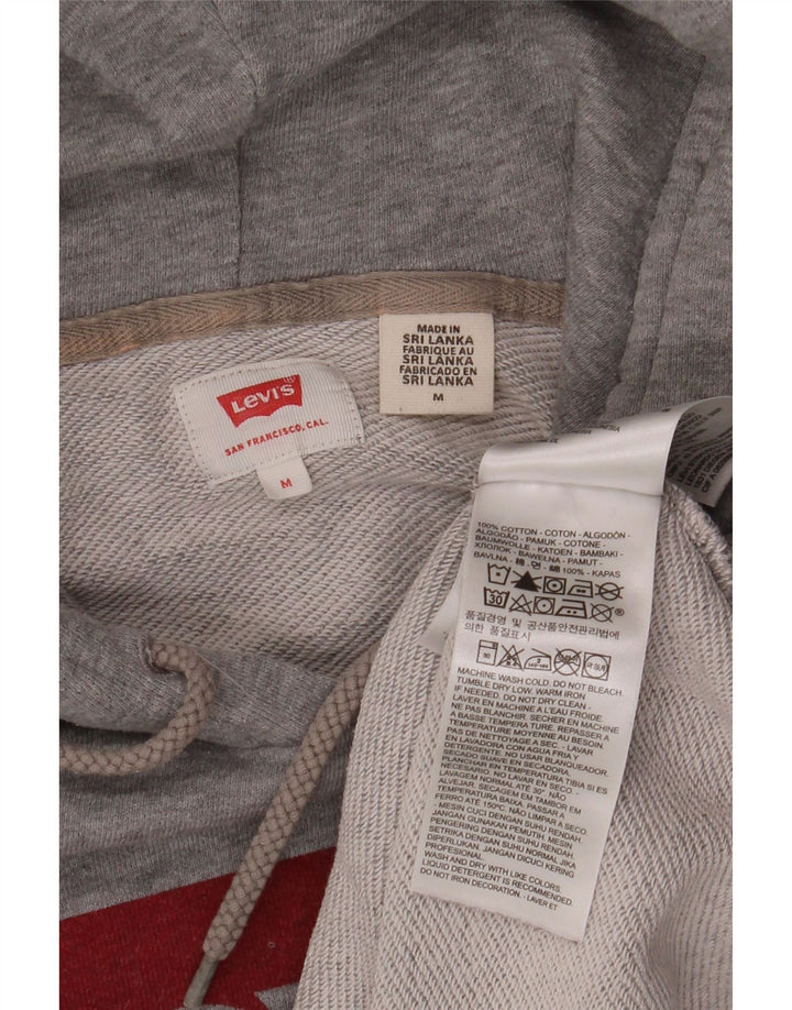 Męski sweter z kapturem i grafiką LEVI'S, średnioszary, bawełniany