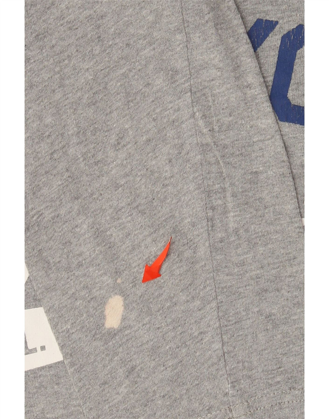 Męski graficzny top Champion z długim rękawem, średnioszary, z bawełny w cętki