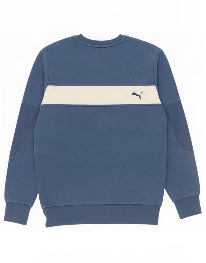 Męska bluza z grafiką Puma, sweter, mały, niebieski, z blokami kolorów