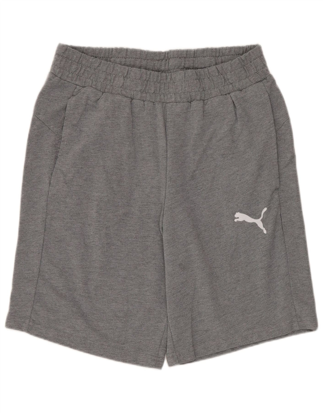 Męskie spodenki sportowe Puma, średnioszare, bawełniane