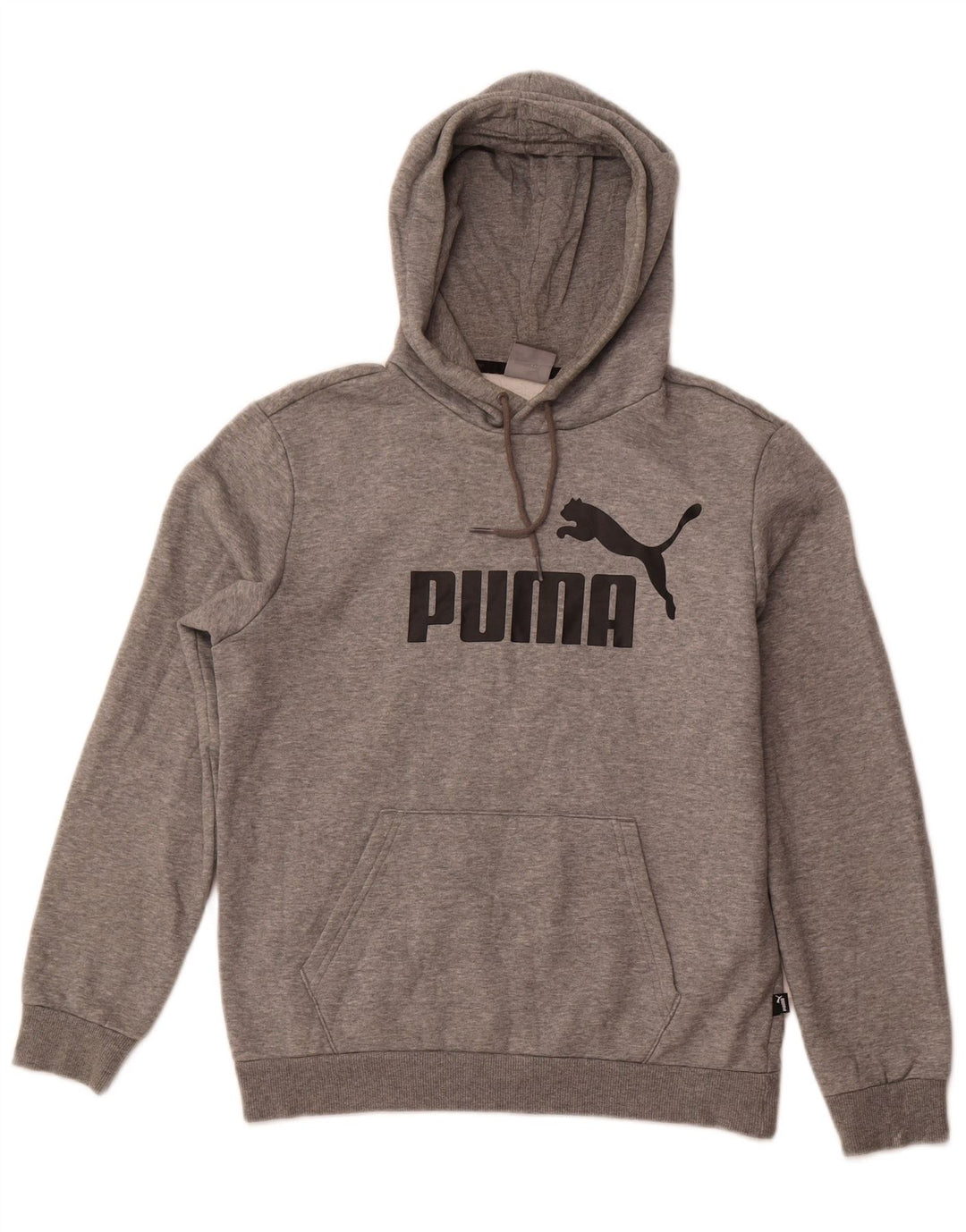 Męska bluza z kapturem Puma z grafiką, mała, szara