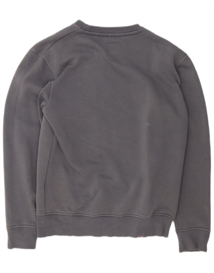 Męska bluza z grafiką Alpha Industries, mała, szara, bawełniana