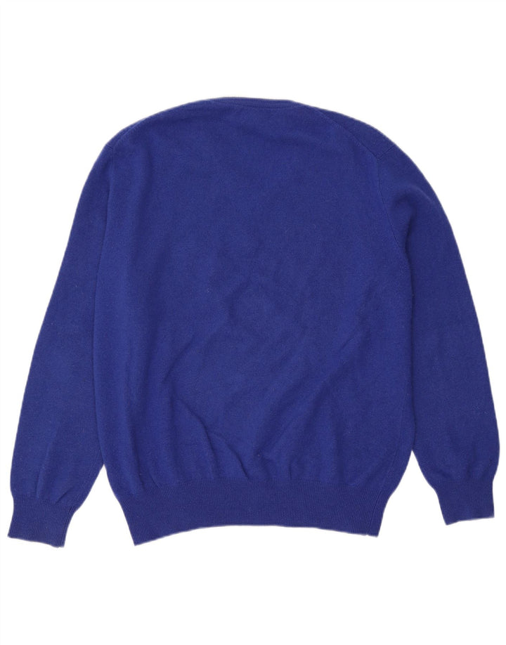 Męski sweter Polo Ralph Lauren z dekoltem w kształcie litery V, duży niebieski