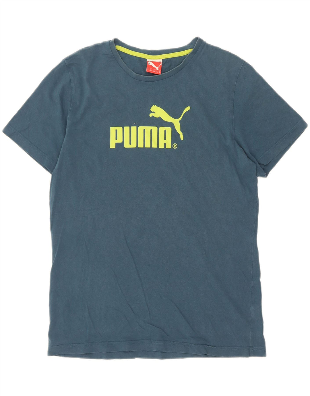 Męski T-shirt z grafiką Puma, średni niebieski