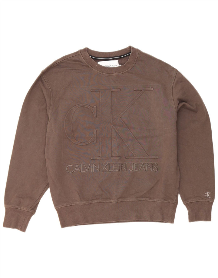 Męska bluza z grafiką Calvin Klein Jeans, mała, szara, bawełniana