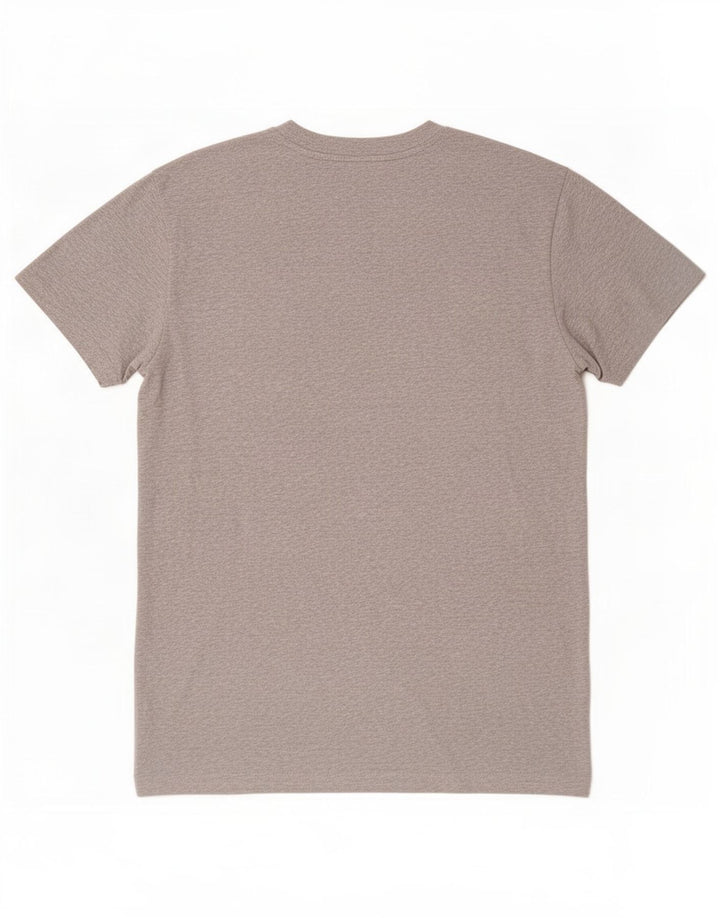 Męski T-shirt z grafiką Gant, średnioszary, bawełniany
