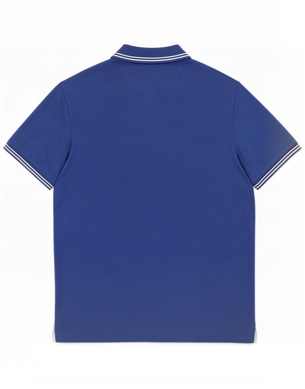 Męska koszulka polo Champion Easy Fit w duże niebieskie paski