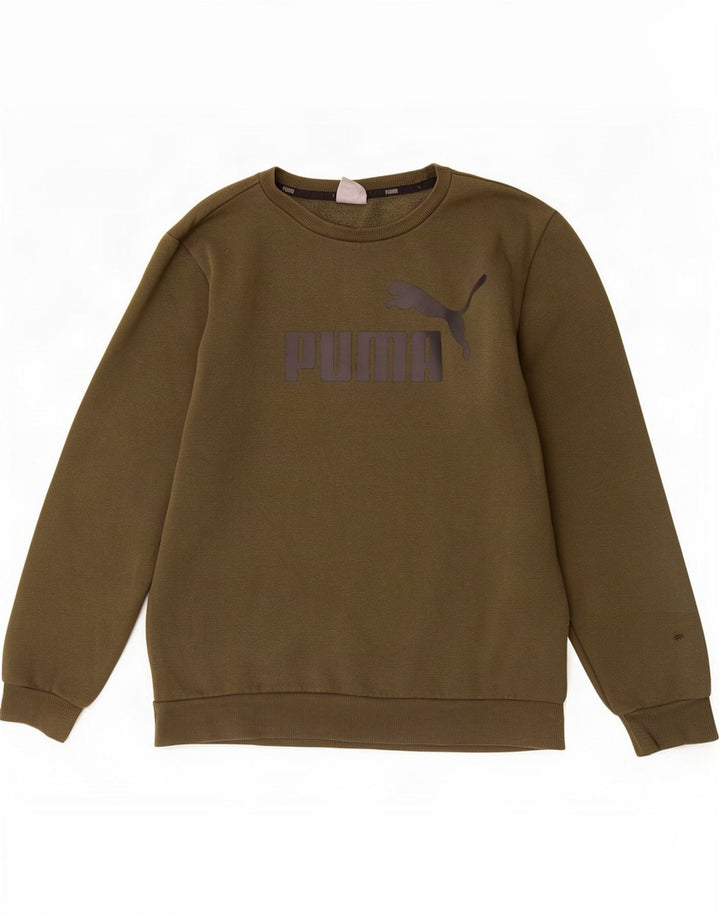 Męska bluza z grafiką Puma, średnia, bawełniana khaki