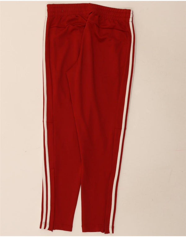 Damskie spodnie dresowe Adidas UK 12/14 Średni czerwony poliester