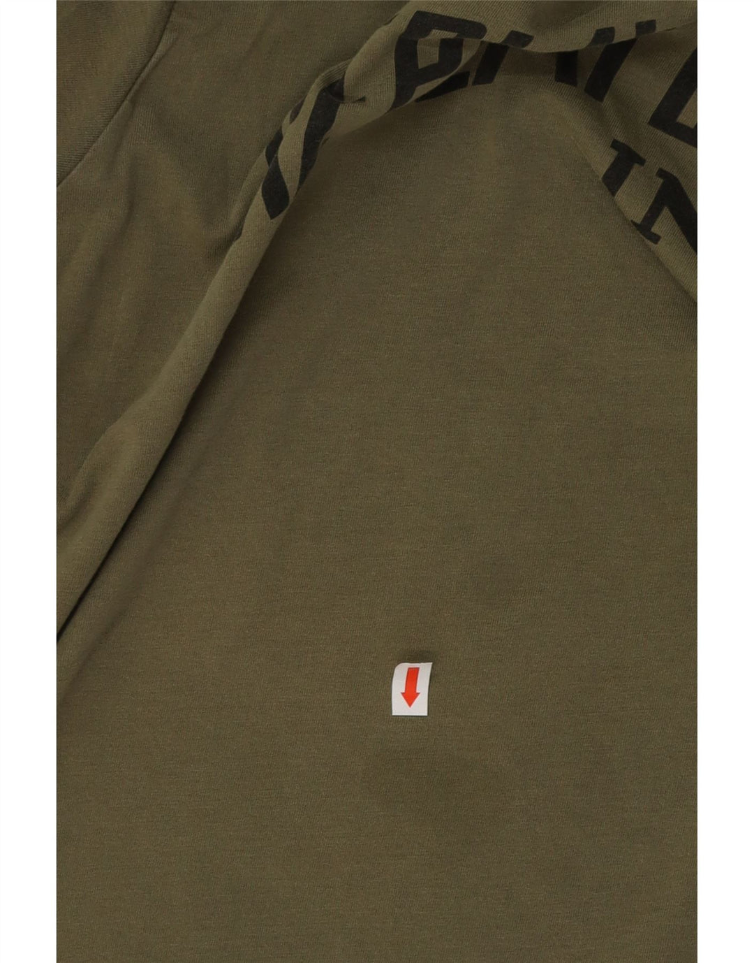 Męski T-shirt z grafiką REPLAY, duży, khaki