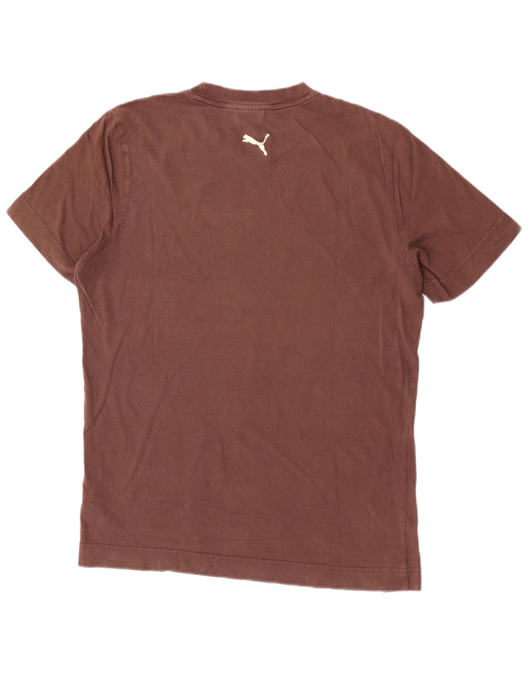Męski T-shirt Puma z grafiką, średni brąz