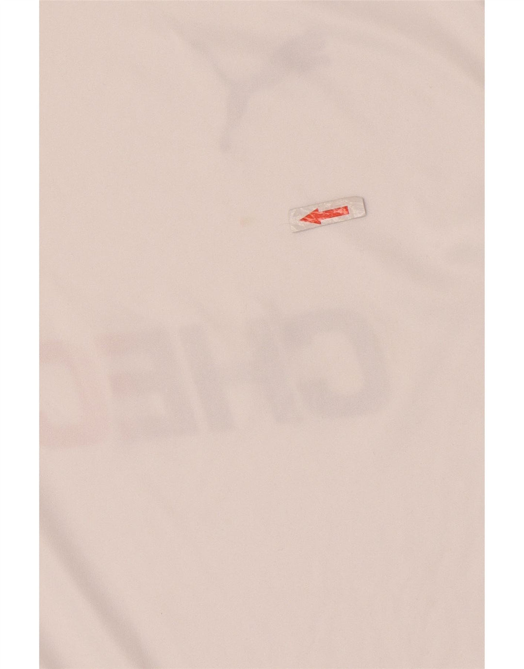 Męski T-shirt Puma Deutshland z grafiką, mały, biały poliester z blokami kolorów
