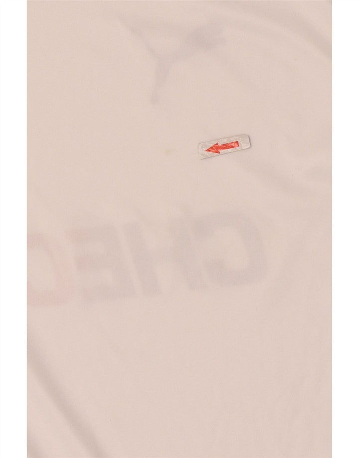Męski T-shirt Puma Deutshland z grafiką, mały, biały poliester z blokami kolorów