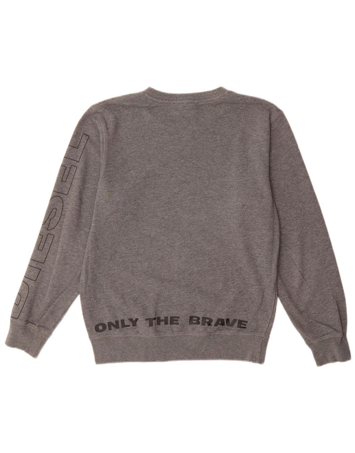 Męska bluza z grafiką Diesel, mała, szara, bawełniana