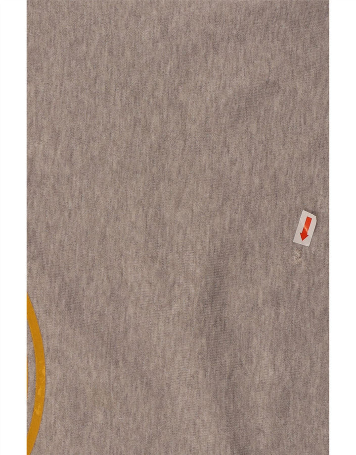 Męska bluza z grafiką ADIDAS, średnioszara, bawełniana