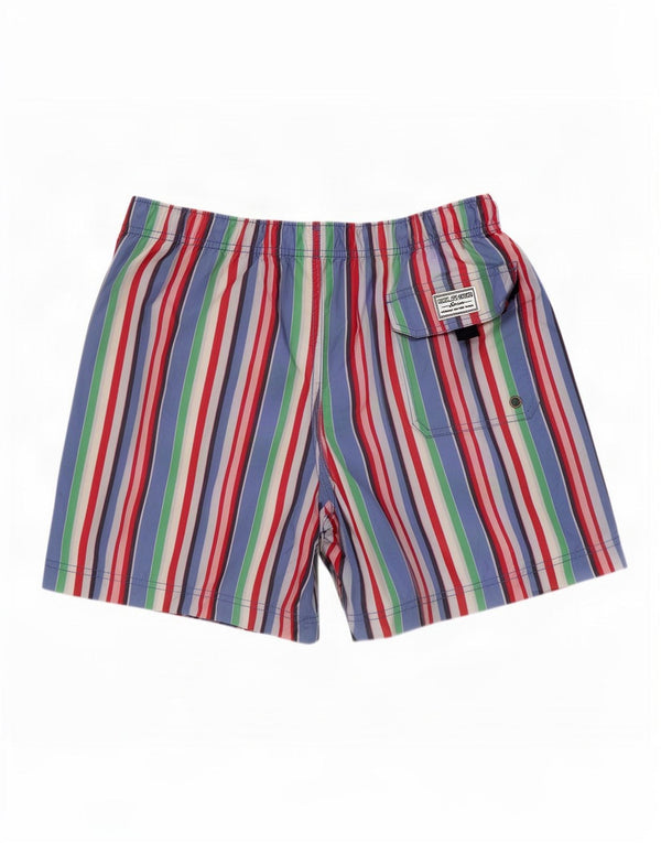 Męskie spodenki kąpielowe Tommy Hilfiger, duże, wielokolorowe, poliestrowe paski