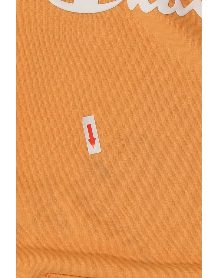Męski sweter z kapturem Champion Graphic 2XL w kolorze pomarańczowym
