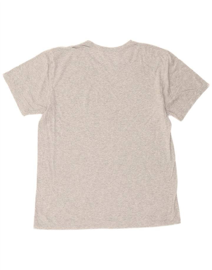 Męski T-shirt Calvin Klein, duży, szary, nakrapiany