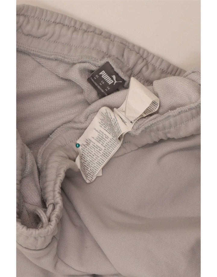 Męskie spodnie dresowe Puma Joggers, średnioszare, bawełniane