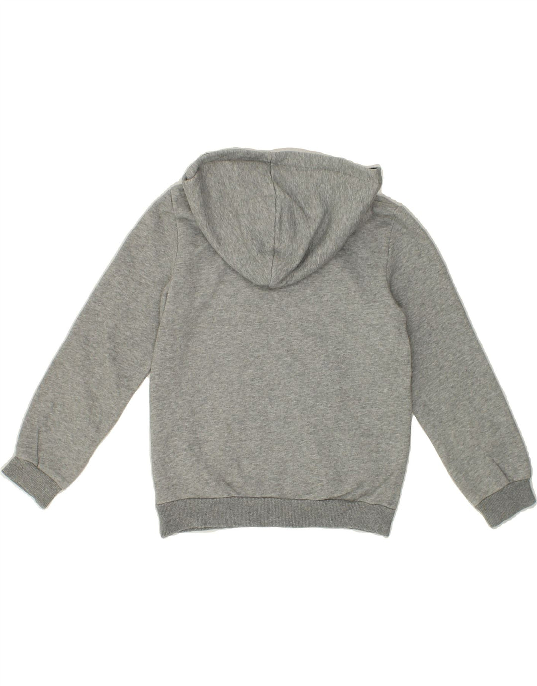 PUMA Boys Graphic Hoodie Jumper 9-10 Years Medium  Grey Cotton Vintage Puma and Second-Hand Puma from Messina Hembry 