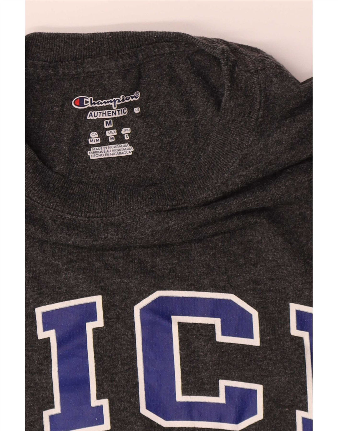 Męski T-shirt z grafiką Champion Rice University, średnioszary, bawełniany