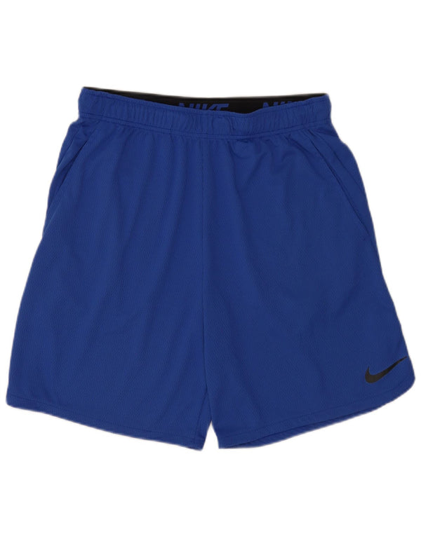 Nike Mens Sport Shorts Large Blue