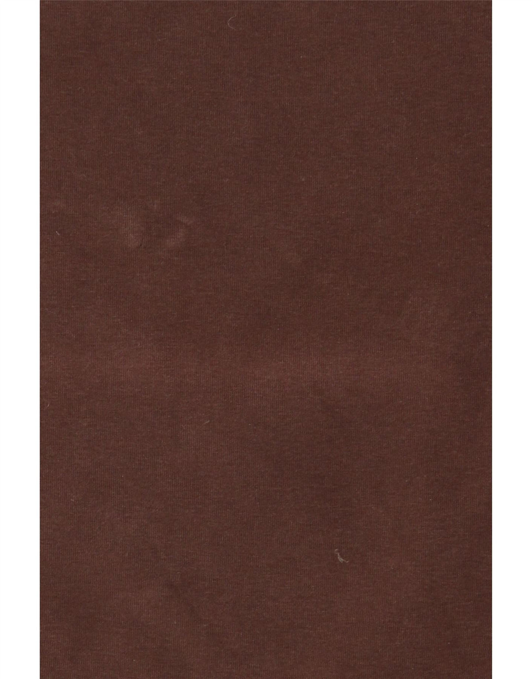T-shirt damski MASSIMO DUTTI Top UK 14, duży, brązowy, bawełniany