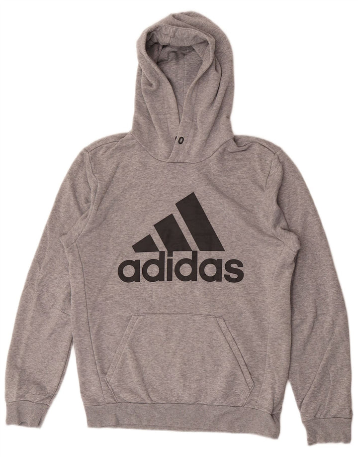 Męska bluza z kapturem Adidas Graphic, mała, szara, bawełniana