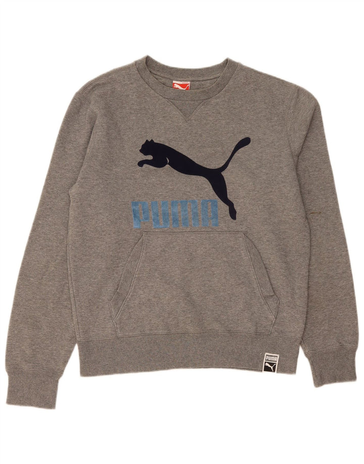 Męska bluza z grafiką Puma, średnioszara, nakrapiana