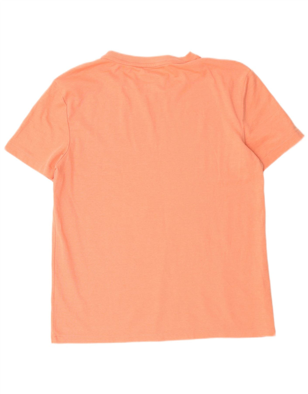 Męska koszulka T-shirt Calvin Klein, średnia, pomarańczowa bawełna