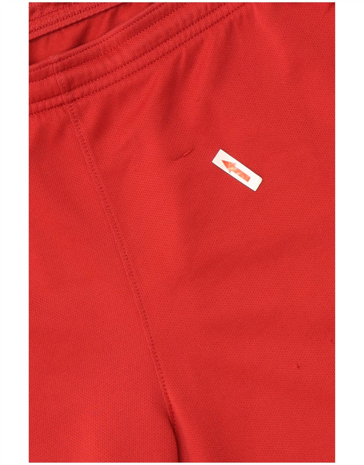 Męskie spodenki sportowe Nike Dri Fit, duże, bordowe