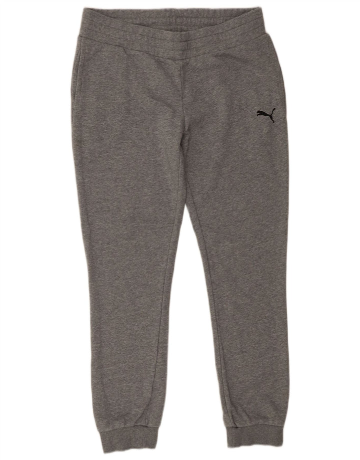 Męskie spodnie dresowe Puma Joggers, duże, szare, bawełniane