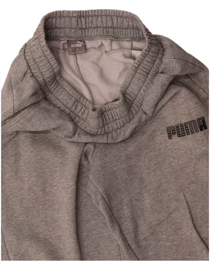 Męskie spodnie dresowe Puma Joggers, średnioszare, bawełniane