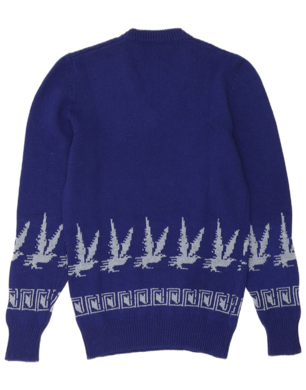 Vintage męski sweter z dekoltem w kształcie litery V, mały niebieski Fair Isle