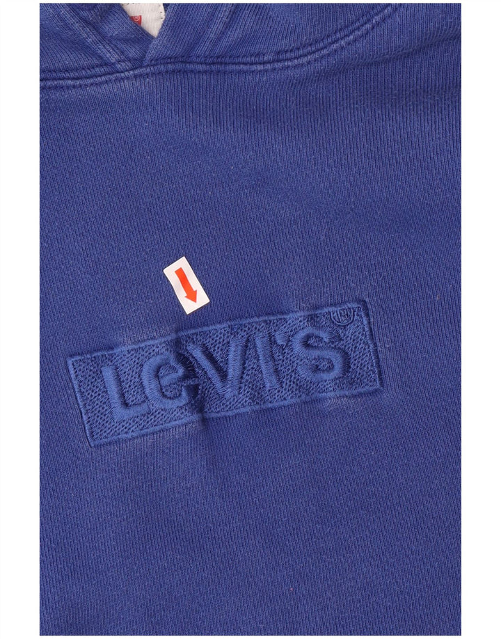 Męski sweter z kapturem i grafiką Levi's, średnioniebieski, bawełniany