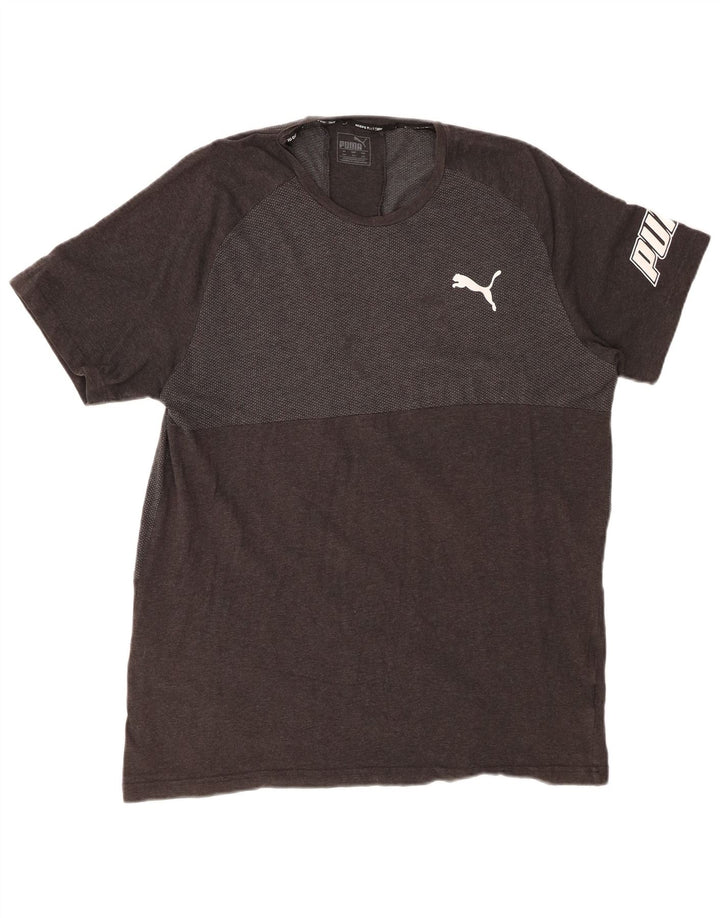 Męski T-shirt z grafiką PUMA Top 2XL Szary blok kolorów