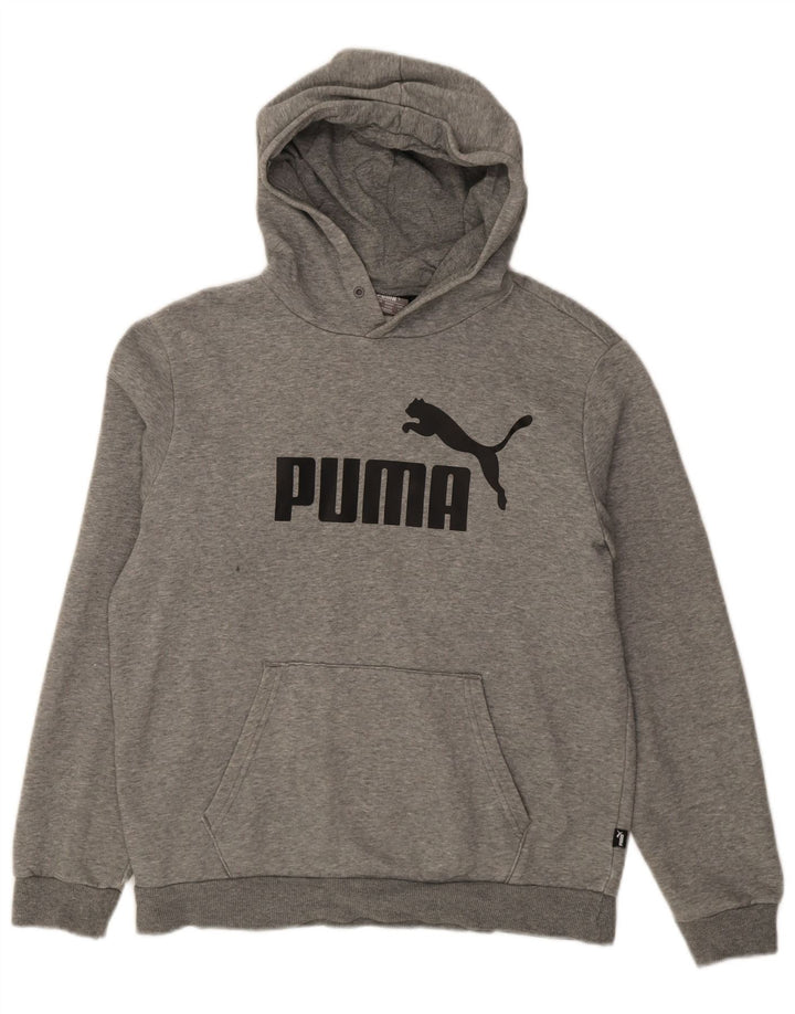 Męski sweter z kapturem Puma z grafiką, mały, szary, bawełniany