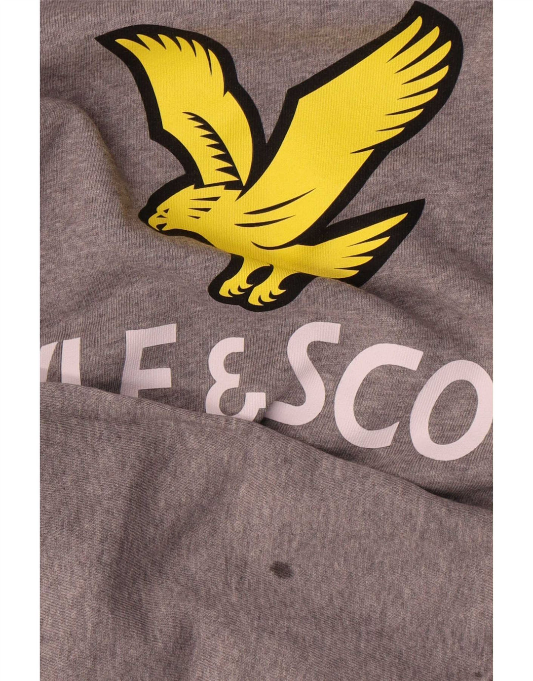 Bluza chłopięca Lyle & Scott z grafiką, 12-13 lat, szara, nakrapiana