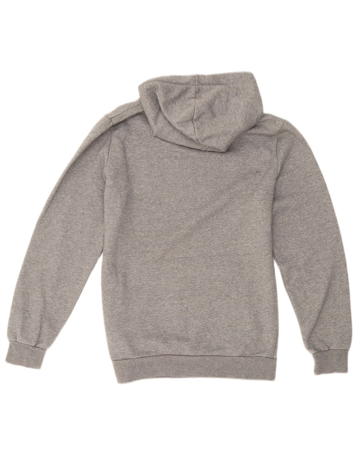 Męski sweter z kapturem Puma z grafiką, mały, szary, bawełniany