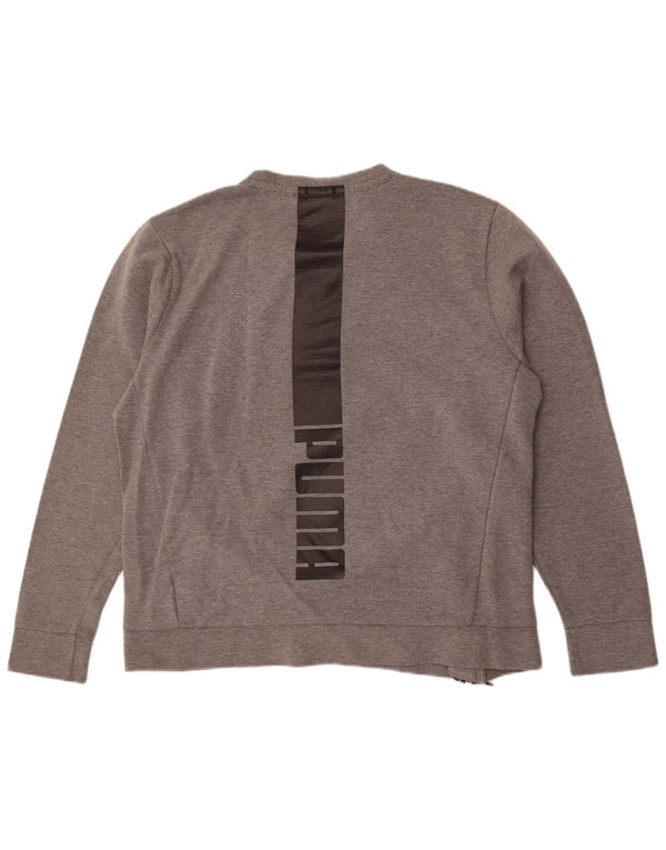 Męska bluza z grafiką Puma XL, szara bawełna