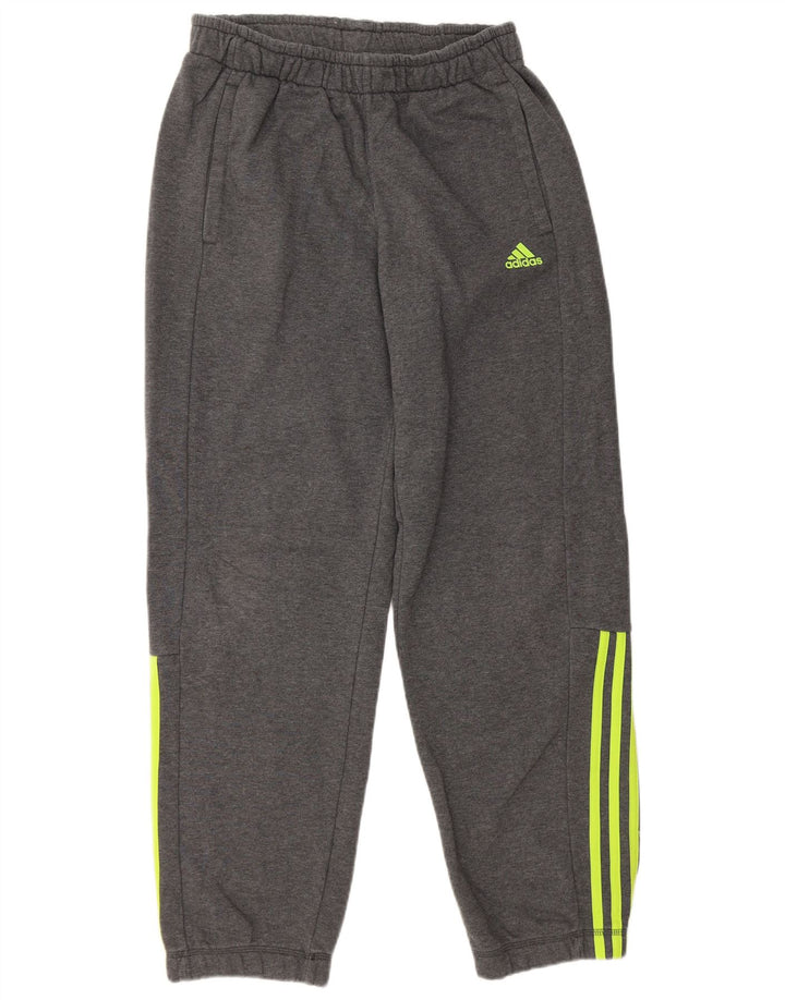 Męskie spodnie dresowe ADIDAS Climalite Joggers, średnioszare, bawełniane
