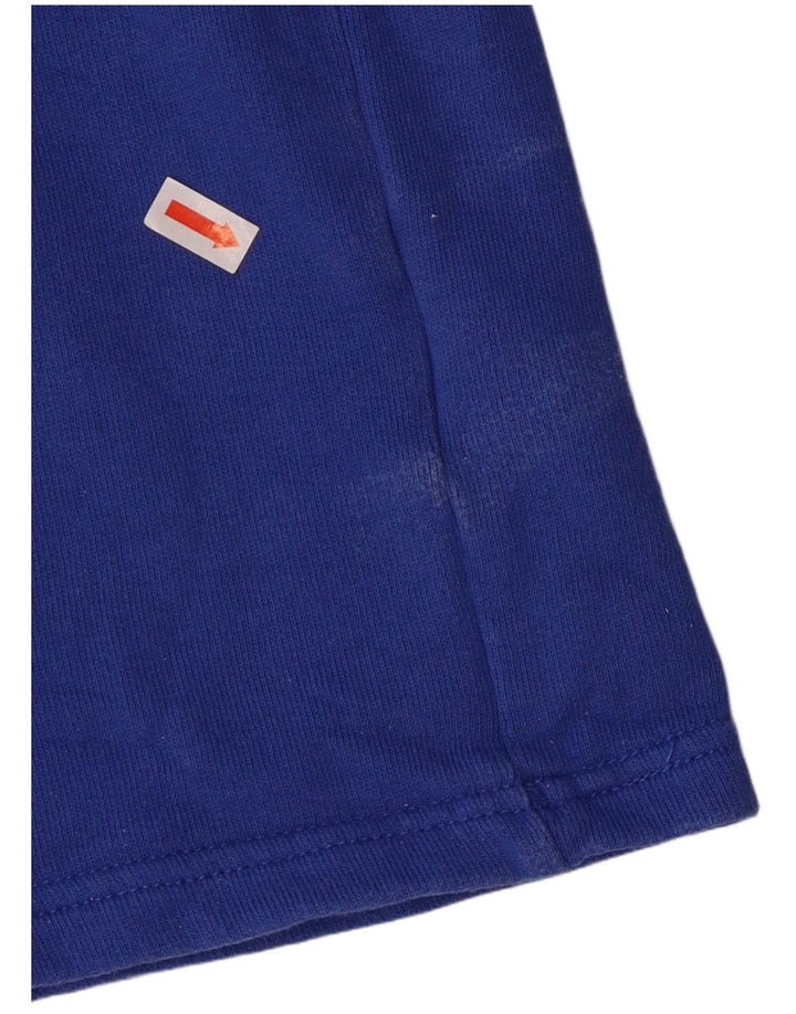 Męska bluza Reebok z grafiką i zamkiem 1/4, bawełniana, w kolorze średniego błękitu