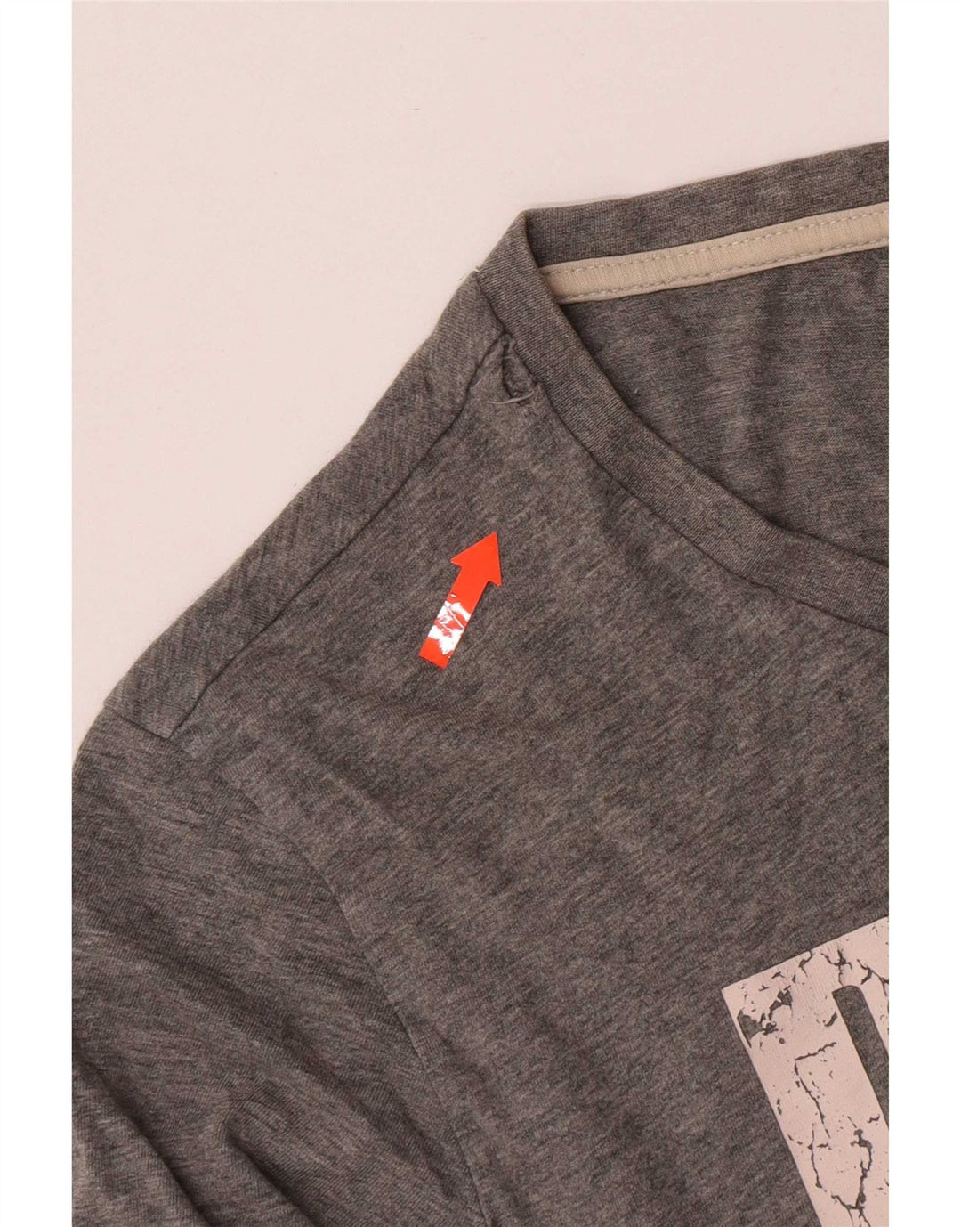 Męski T-shirt Puma z grafiką, mały, szary, bawełniany